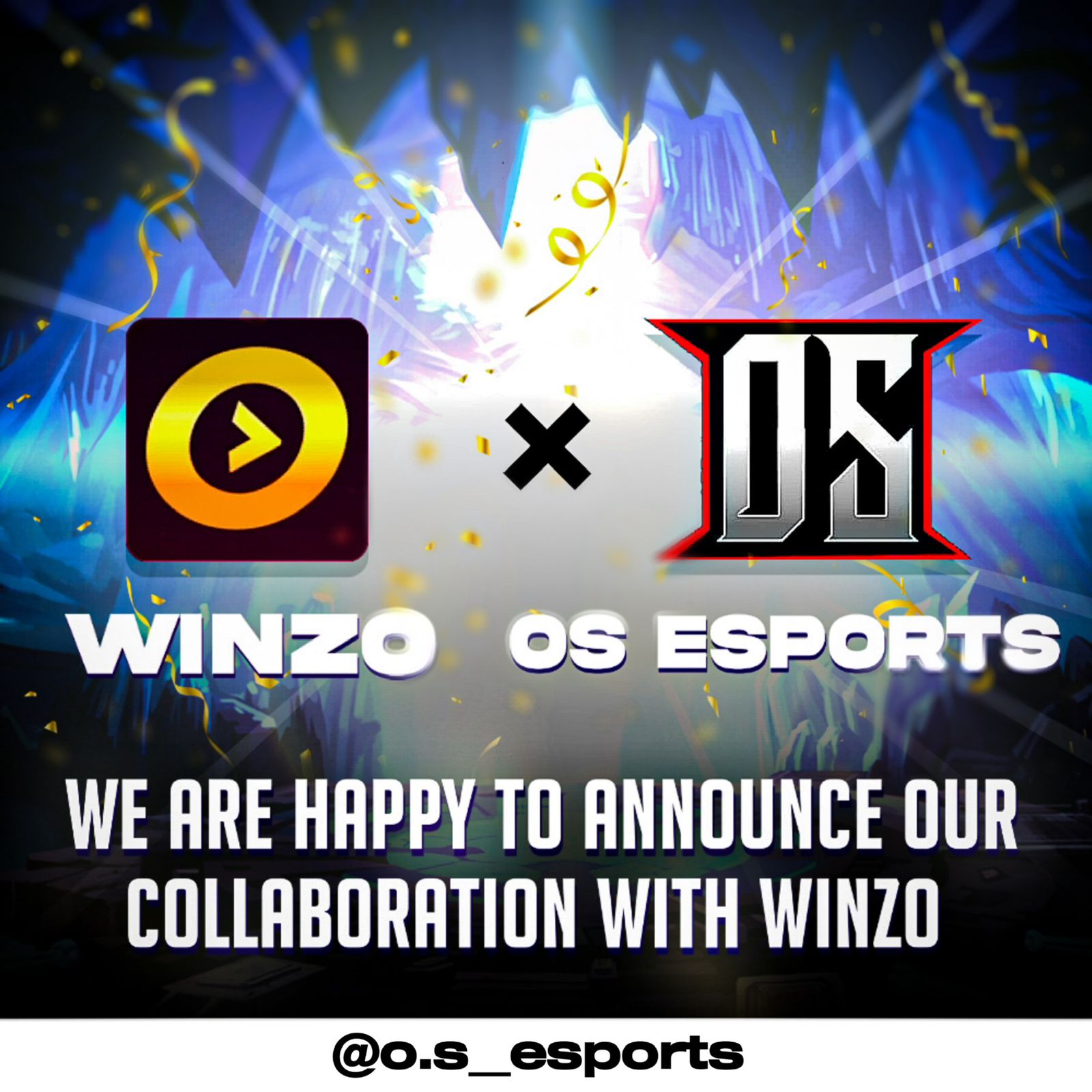 images/partner_winzo.jpeg